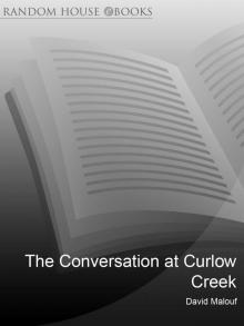 The Conversations At Curlew Creek