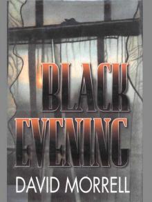 Black Evening Black Evening