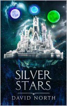 Silver Stars (Guardian of Aster Fall Book 8)