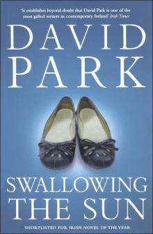 Swallowing the Sun