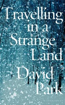Travelling in a Strange Land