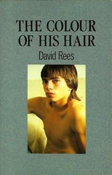 The Colour of His Hair