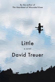 Little: a Novel