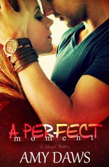 A Perfect Moment
