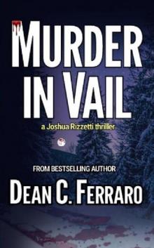 Murder in Vail (The Joshua Rizzetti Series Book 2)