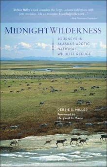 Midnight Wilderness