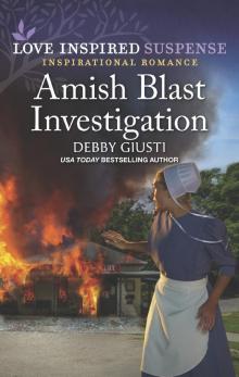 Amish Blast Investigation