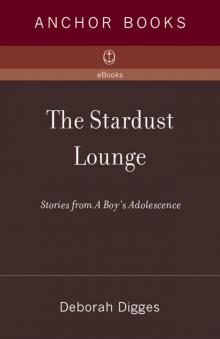 The Stardust Lounge The Stardust Lounge