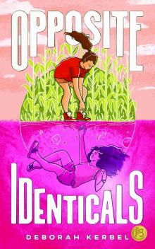 Opposite Identicals Opposite Identicals