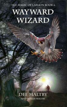 Wayward Wizard: The Magic of Larlion Book 6 Wayward Wizard: The Magic of Larlion Book 6