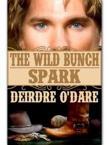 The Wild Bunch 2 Spark The Wild Bunch 2 Spark