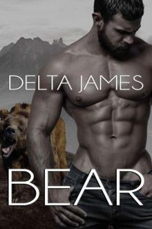 Bear: A Dark Shifter Romance