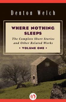Where Nothing Sleeps