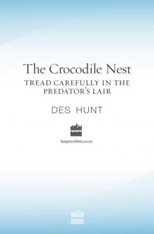 The Crocodile Nest The Crocodile Nest