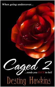 Caged 2 (Caged Series)