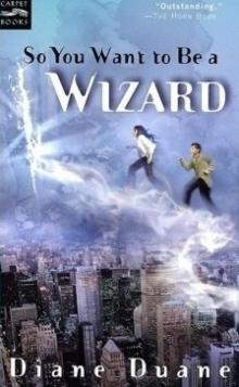 So You Want To Be A Wizard yw-1 So You Want To Be A Wizard yw-1