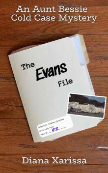 The Evans File (An Aunt Bessie Cold Case Mystery Book 5)
