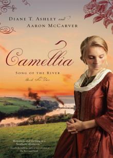 Camellia