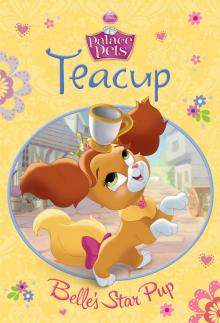 Teacup: Belle's Star Pup