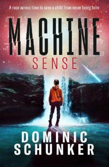 Machine Sense Machine Sense