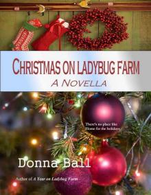 4 Christmas on Ladybug Farm 4 Christmas on Ladybug Farm