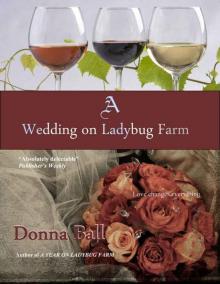 A Wedding on Ladybug Farm A Wedding on Ladybug Farm