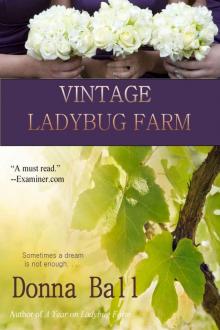 Vintage Ladybug Farm Vintage Ladybug Farm