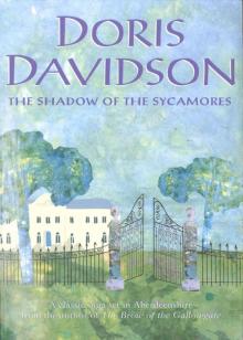 The Shadow of the Sycamores The Shadow of the Sycamores
