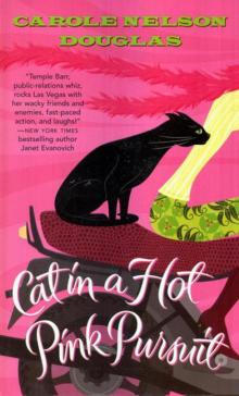 Cat in a hot pink Pursuit