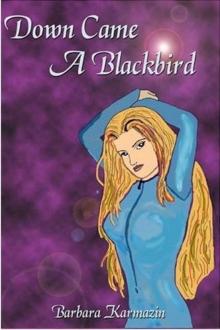 Barbara Karmazin - Blackbird 02