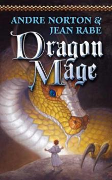 Norton, Andre - The Magic Books 07