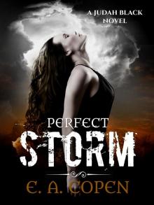 Perfect Storm (Judah Black Novels, #0) Perfect Storm (Judah Black Novels, #0)