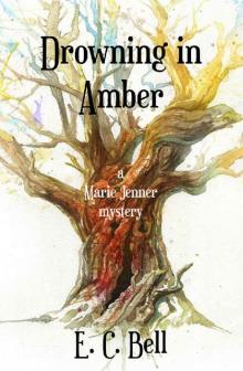 Drowning in Amber (A Marie Jenner Mystery Book 2) Drowning in Amber (A Marie Jenner Mystery Book 2)