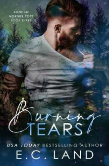 Burning Tears (Sons of Norhill Tops Book 3)