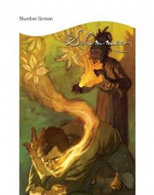 Number Sixteen: Shimmer