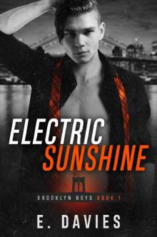 Electric Sunshine (Brooklyn Boys Book 1)