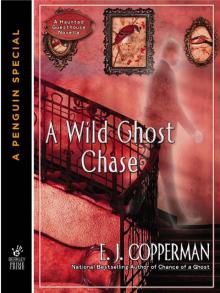 A Wild Ghost Chase A Wild Ghost Chase