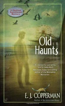 Haunted Guest House Mystery 03-Old Haunts Haunted Guest House Mystery 03-Old Haunts
