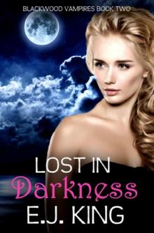 Lost in Darkness