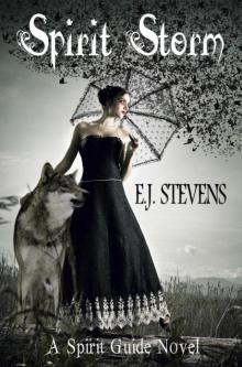 Spirit Storm (Spirit Guide, #2) Spirit Storm (Spirit Guide, #2)