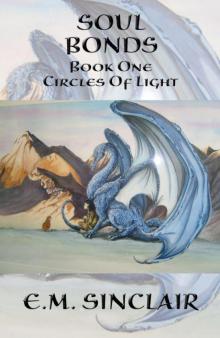 Soul Bonds Book 1 Circles of Light series
