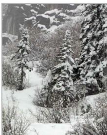 Fimbulwinter (Daniel Black)