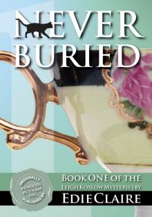 Never Buried: A Leigh Koslow Mystery