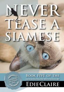 Never Tease a Siamese