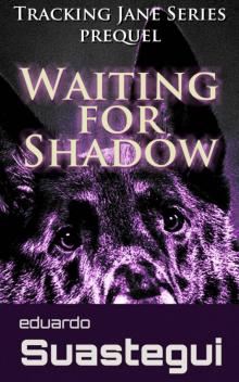 Waiting for Shadow Waiting for Shadow