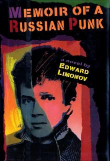 Memoir of a Russian Punk