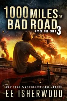 1000 Miles of Bad Road 3: After the EMPs