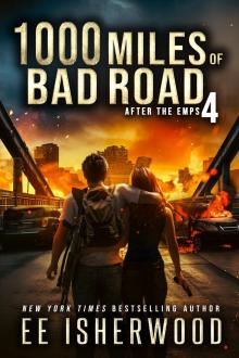 1000 Miles of Bad Road 4: After the EMPs