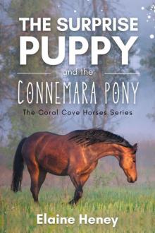 The Surprise Puppy and the Connemara Pony - The Coral Cove Horses Series (Coral Cove Horse Adventures for Girls and Boys Book 3)