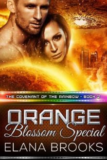 Orange Blossom Special (The Covenant of the Rainbow Book 2)